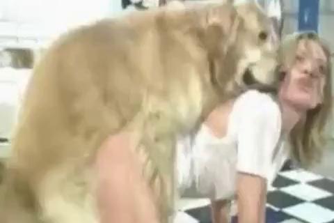 Dog Girl cute edition 322